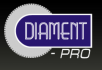 Diament-Pro M. Dybich