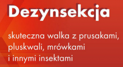 Dezynsekcja – zwalczanie prusaków i karaluchów