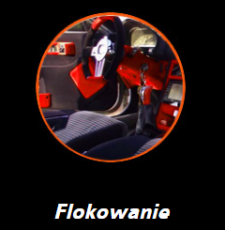 Flokowanie