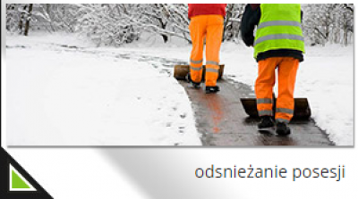 Odśnieżanie