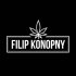 Kwiaty CBD - Filip Konopny