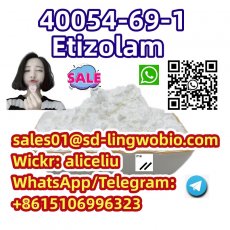 High Purity Etizolam 40054-69-1 