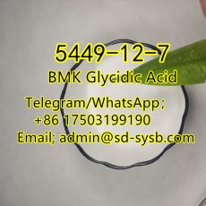  66 A  5449-12-7 BMK Glycidic Acid