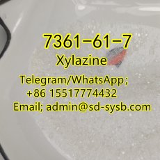  35 A  7361-61-7 Xylazine