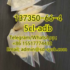  53 A  137350-66-4 5cl-adb