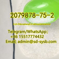  62 A  2079878-75-2 2-(2-Chlorophenyl)-2-nitrocyclohexanone