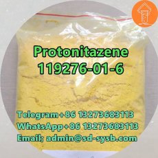 Protonitazene CAS 119276-01-6	Fast-shipping 	D1