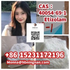  excellent quality Etizolam CAS 40054-69-1 