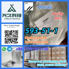 good price of methylamine hydrochloride 593-51-1