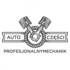  PROFESJONALNYMECHANIK.PL BŁAŻEJ BIELIŃSKI