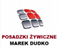 POSADZKI ŻYWICZNE PRZEMYSŁOWE Marek Dudko