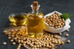 Soybean Oil Exporters