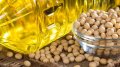 Soybean Oil Exporters